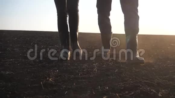 合作农民农业是一个概念慢动作视频一队农民一对幸福的家庭夫妇走在地面上视频的预览图
