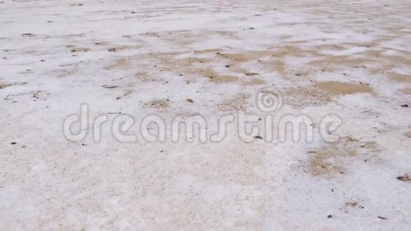 沙滩上有雪和黄叶特写视频的预览图