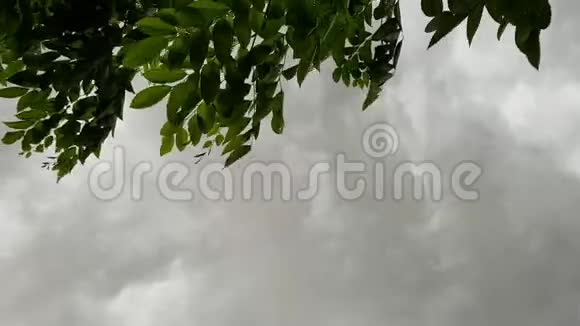 天空在多风的雨天视频的预览图