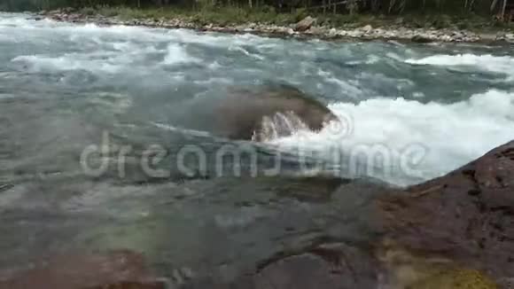 暴风般的河水视频的预览图