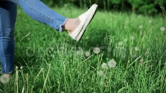 在阳光明媚的夏日里穿着蓝色牛仔裤的女人在公园里敲下蒲公英和高高的草地女孩带着一个傻瓜周围闲逛视频的预览图