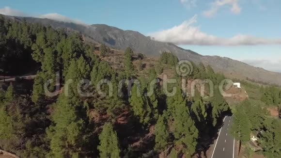 空中射击汽车在日落时行驶在一条山路上周围是绿松林低云蓝色视频的预览图