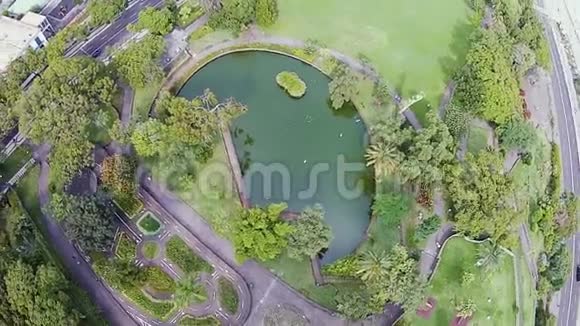 美丽的小公园与池塘在丰查尔马德拉岛葡萄牙视频的预览图