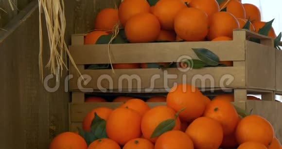 橘子木箱视频的预览图