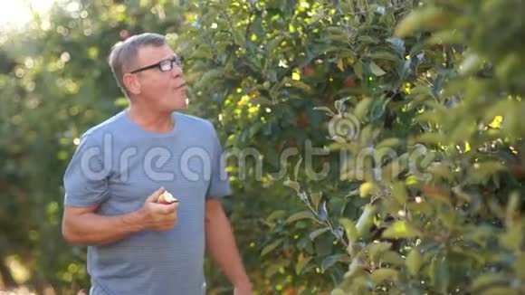 农夫试图从他自己的花园里收获苹果农业秋收健康食品视频的预览图