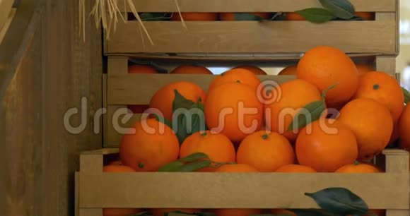 橘子木箱视频的预览图