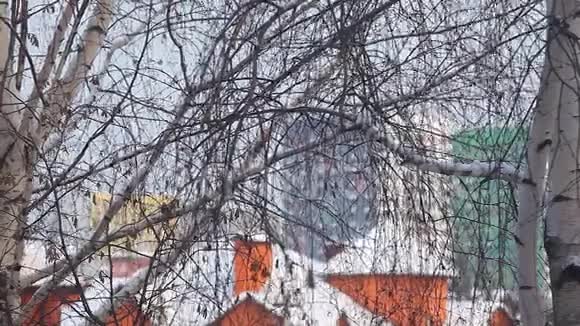 莫斯科市桦雪高清镜头12月视频的预览图