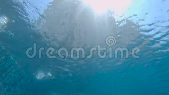 水下慢镜头拍摄一个人游过镜头视频的预览图