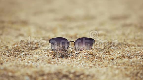特写镜头戴着墨镜躺在沙滩上的贝壳视频的预览图