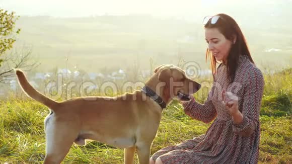 可爱的年轻女人玩狗喂它吃大自然视频的预览图