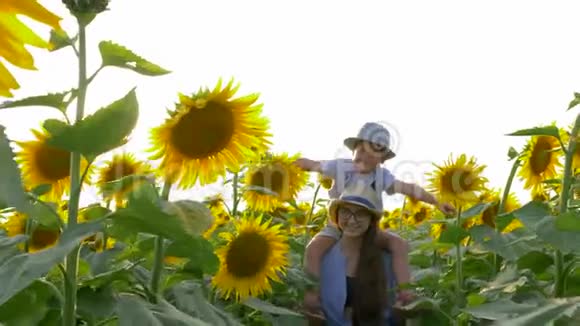 童年时孩子举起双手模仿太阳花田上的飞行坐在阳光下姐姐的脖子上视频的预览图