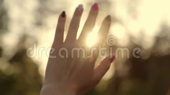 阳光透过女人手视频的预览图