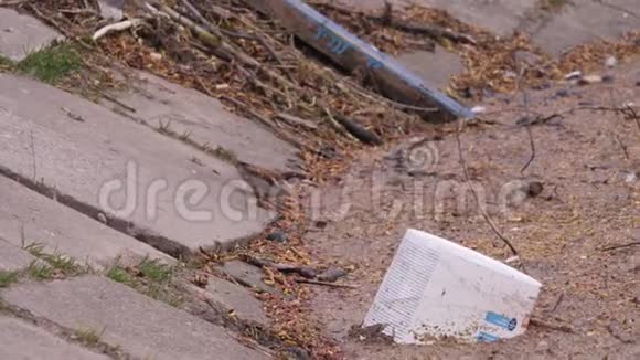 在城市公园里一只小麻雀在河边的码头上喝着塑料瓶垃圾和其他污染视频的预览图