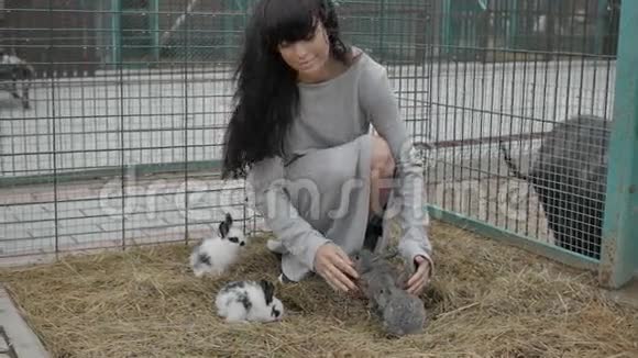 动物园里有野兔的女人视频的预览图
