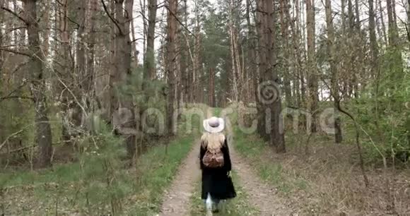 戴帽子的女人走进树林视频的预览图