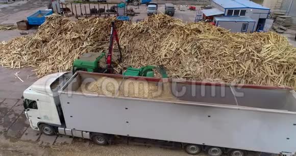 木材加工为锯末用于生产燃料型煤一大堆木柴用来加工成燃料视频的预览图