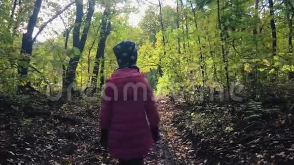 秋天森林里孤独的少女漫步在秋天的公园里视频的预览图