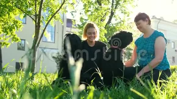 母女俩休息坐在公园的草地上带着两条黑俄视频的预览图