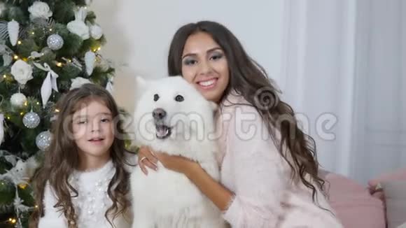 圣诞节的一家人姐妹俩正坐在沙发上摆着相机坐着一只白狗视频的预览图