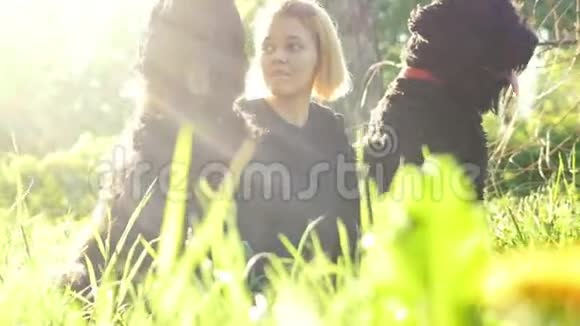 两只狗和他们的年轻情妇在公园散步女孩微笑着明亮的阳光夏日视频的预览图