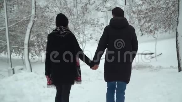 年轻的男人和女人在冬天的公园里散步白雪覆盖着双手冬天的户外休闲快乐的爱视频的预览图