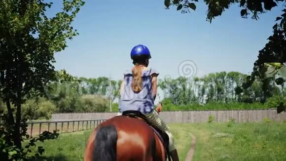 后景小女孩戴着保护头盔骑着一匹棕色的马视频的预览图
