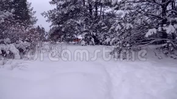 冬天森林里的俄罗斯小村庄视频的预览图