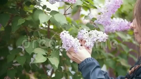 女孩打破一支紫丁香和嗅嗅夏日慢动作视频的预览图