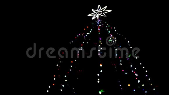夜晚在树上闪烁节日的灯光视频的预览图
