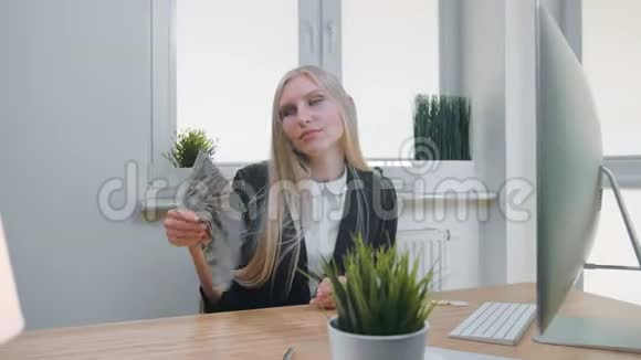 有钱的轻松女人优雅的年轻金发女郎穿着商务套装坐在办公桌旁端着电脑和植物视频的预览图