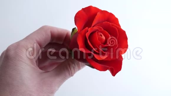 一个白人女子手中的红玫瑰视频的预览图