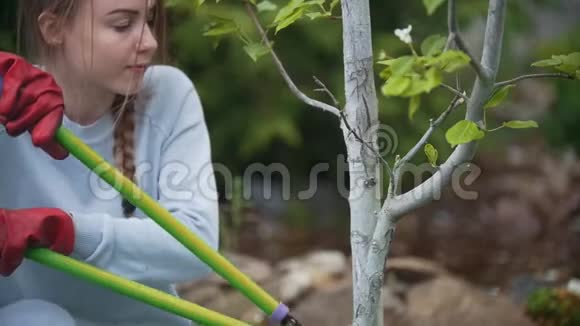 一个年轻的女孩用花园剪刀剪梨树枝动作缓慢视频的预览图