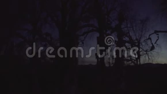 天空中的树木剪影夜晚的冬林视频的预览图