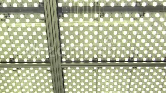 科学室实验室用灯泡或闪光灯照明的实验室照明灯持续科学视频的预览图