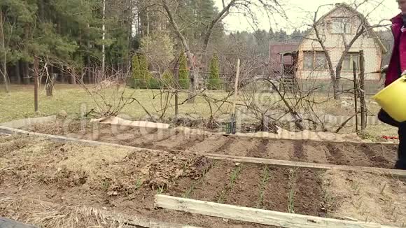 菜园里的一位女农民种大蒜视频的预览图