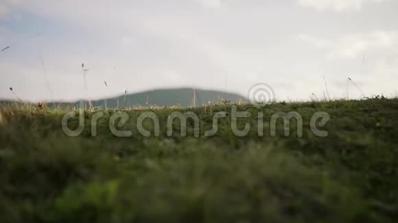 草在山野背景夏季季节关门视频的预览图