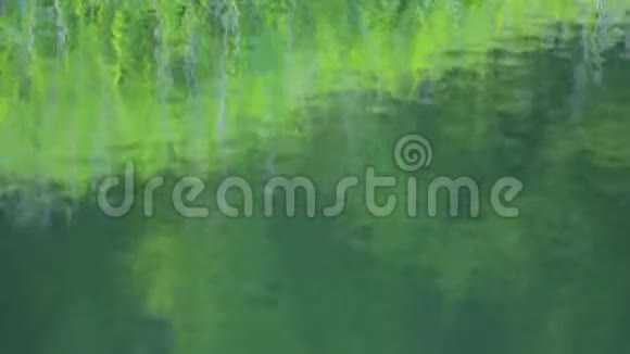 山湖和深绿色森林的涟漪水的反映视频的预览图