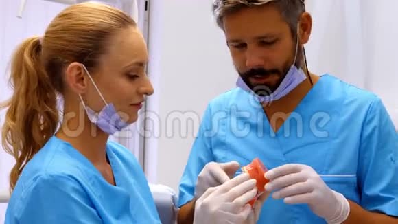 牙医们讨论牙齿模型视频的预览图