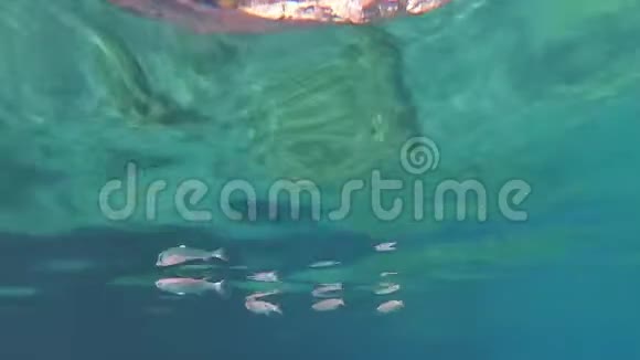 在海底游泳actioncamerashot慢动作视频的预览图