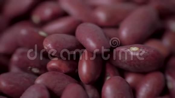是红豆的近亲巨豆4K视频的预览图