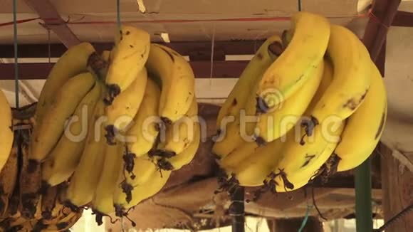 黄色成熟的香蕉挂在摊子里视频的预览图