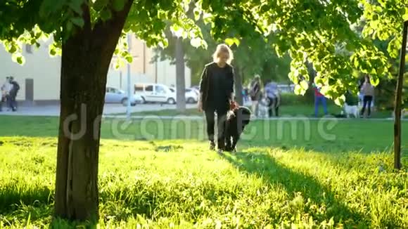 阳光明媚的一天女孩和她的狗被绑在树下视频的预览图