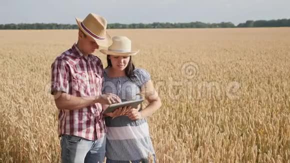 农民夫妇使用数字平板电脑成熟麦田视频的预览图