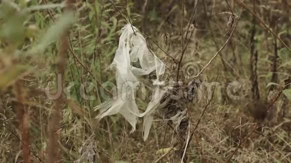 草里的塑料袋坏人为自然而留下的垃圾视频的预览图