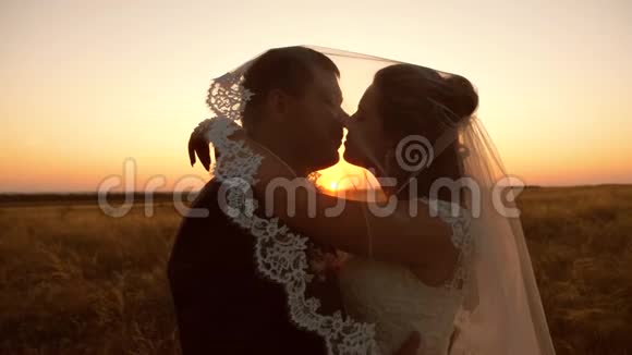 年轻的已婚夫妇在日落时亲吻和拥抱男女婚姻生活视频的预览图