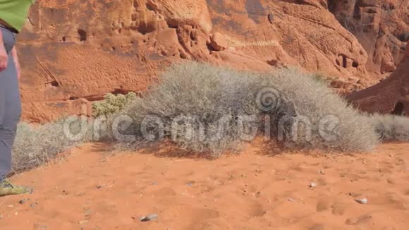 沙漠莫哈韦红岩峡谷的沙滩上女人的腿视频的预览图
