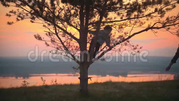 祖母帮助她的孙子在夏日夕阳下爬上一棵树视频的预览图