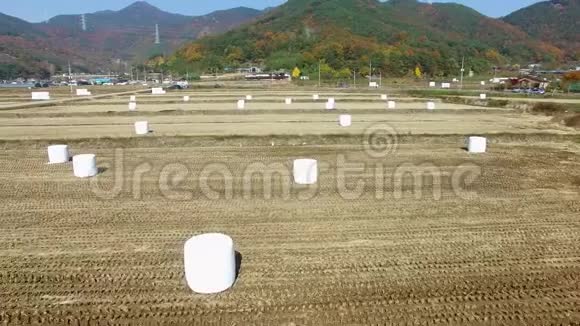 在韩国亚洲米尔扬庆尚南道的Wiryangji水库对稻田的青贮视频的预览图