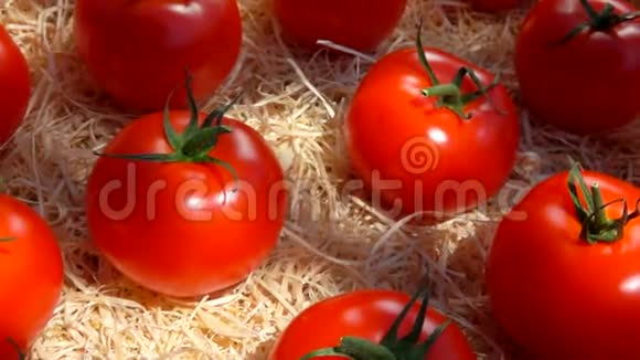 成熟多汁的红西红柿躺在木箱里视频的预览图