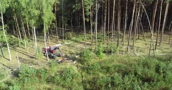 森林收割机切割木材的过程视频的预览图
